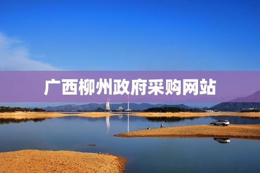 广西柳州政府采购网站