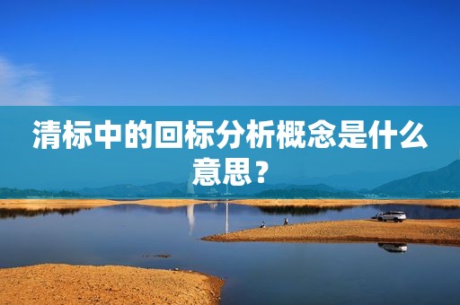 清标中的回标分析概念是什么意思？